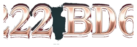 222bd6 logo